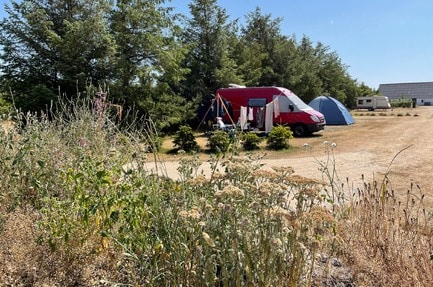 Blokhus Natur Camping