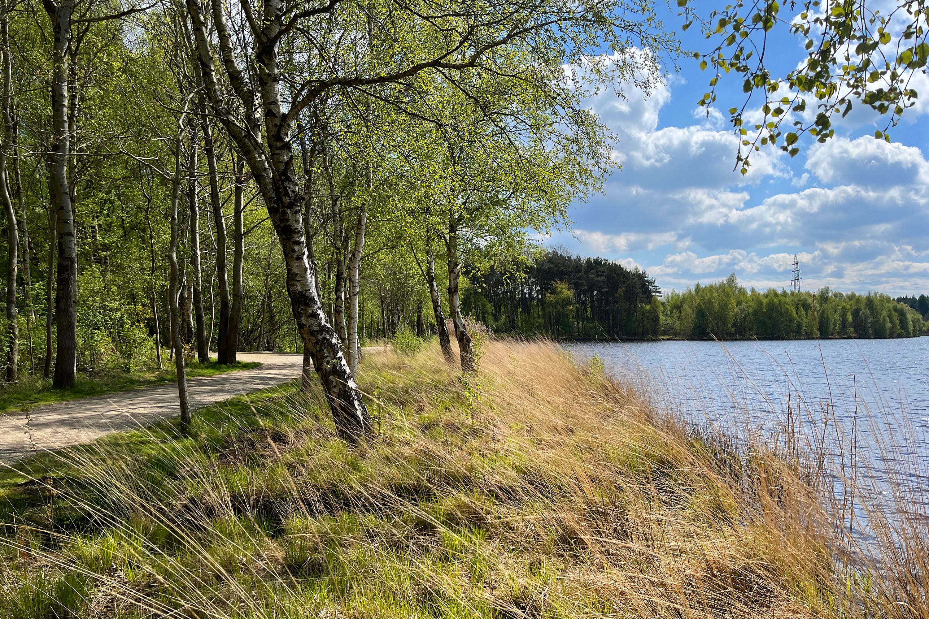 Cp. & Bungalowpark Ottermeer.