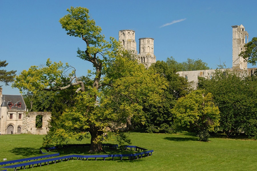 Camping de la Forêt.