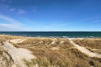 Møn Strandcamping - Ulvshale.