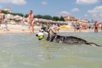 Club del Sole Le Mimose Family Resort.