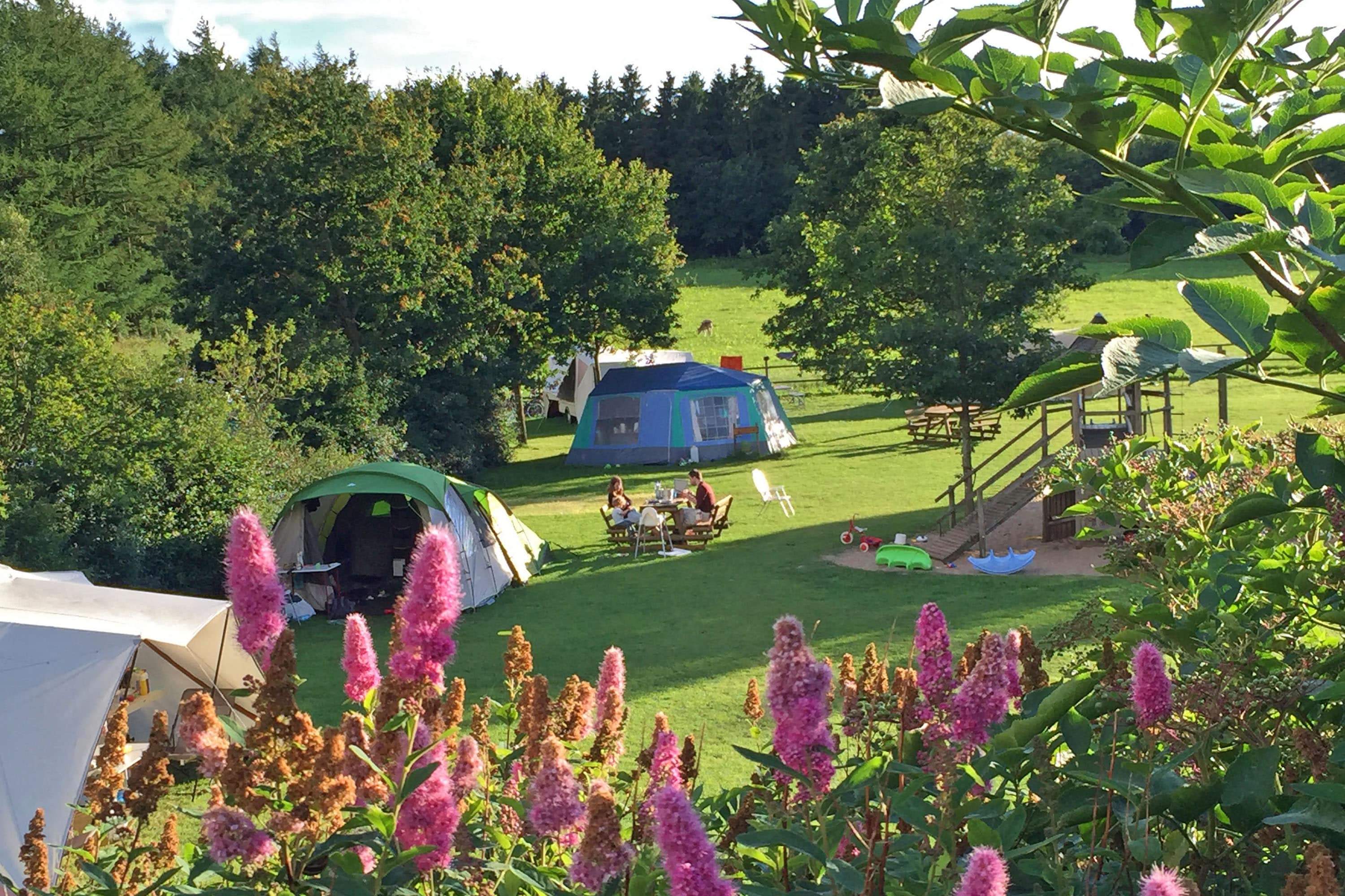 Camping Gyvelborg.