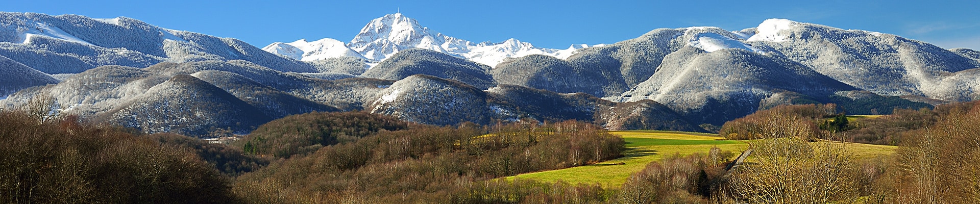 Header Image