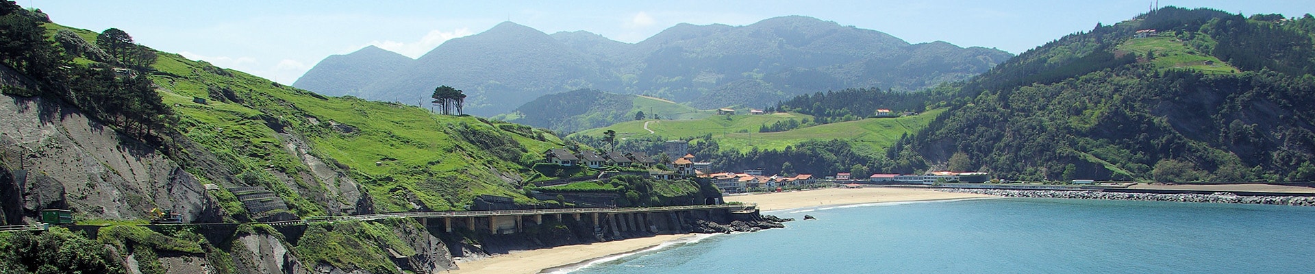Header Image