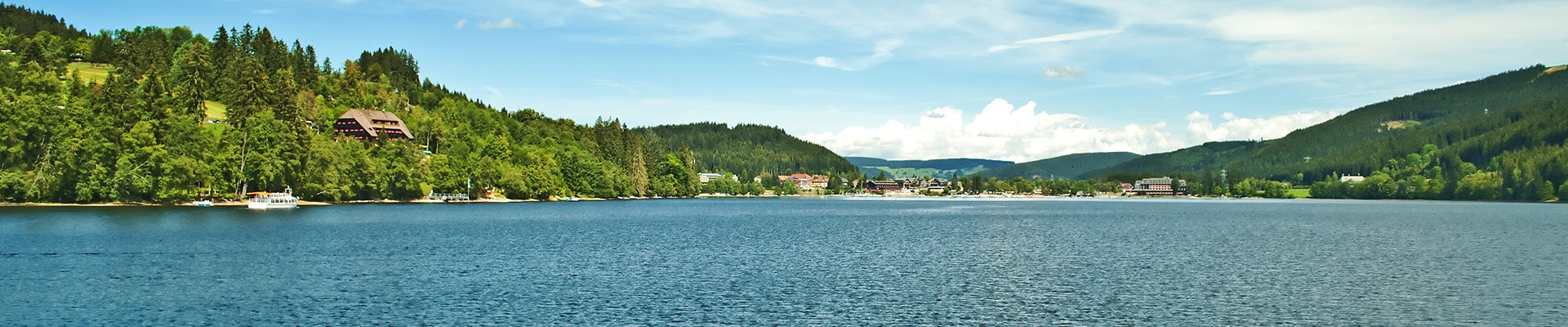Header Image