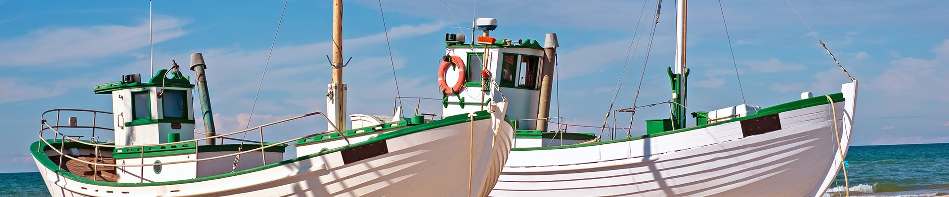 Header Image