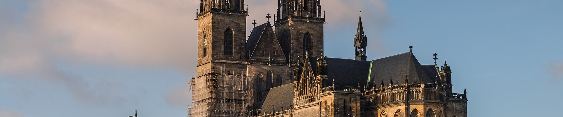 Header Image