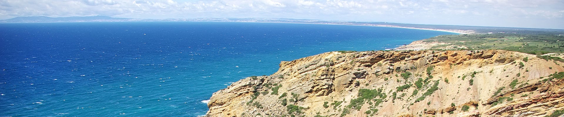 Header Image
