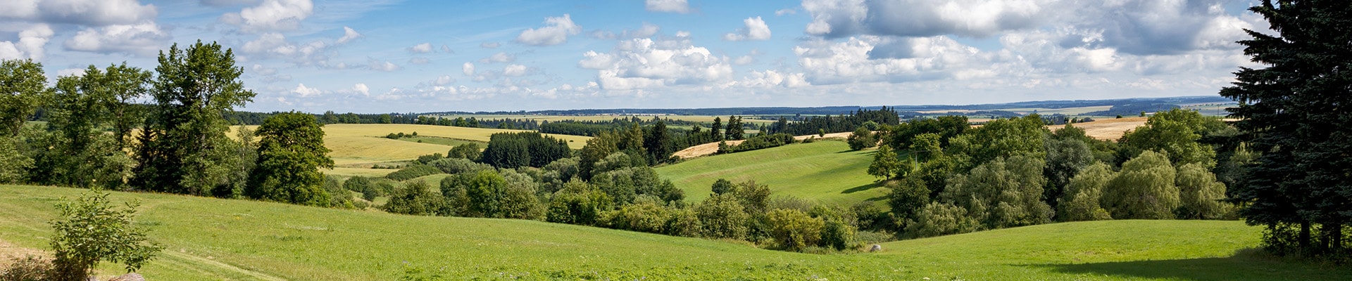Header Image