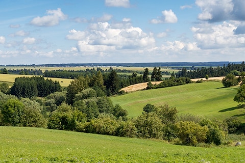 Header Image