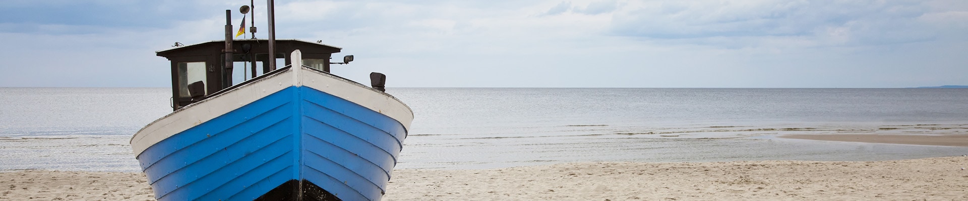 Header Image
