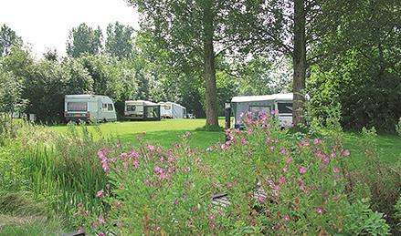 Campsite Weidumerhout
