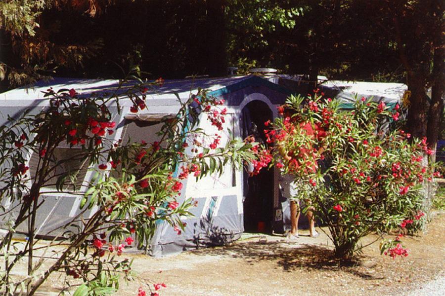 Campsite California