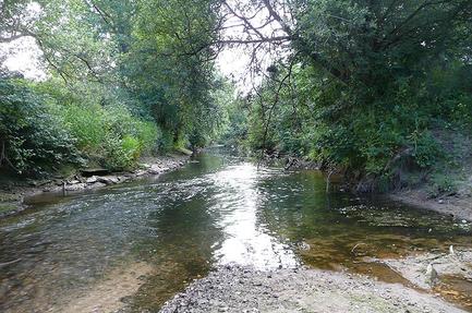 Campsite Les Cytises