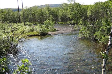 Ifjord Camping & Accomodation
