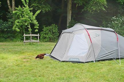 Camping Priory Mill Farm