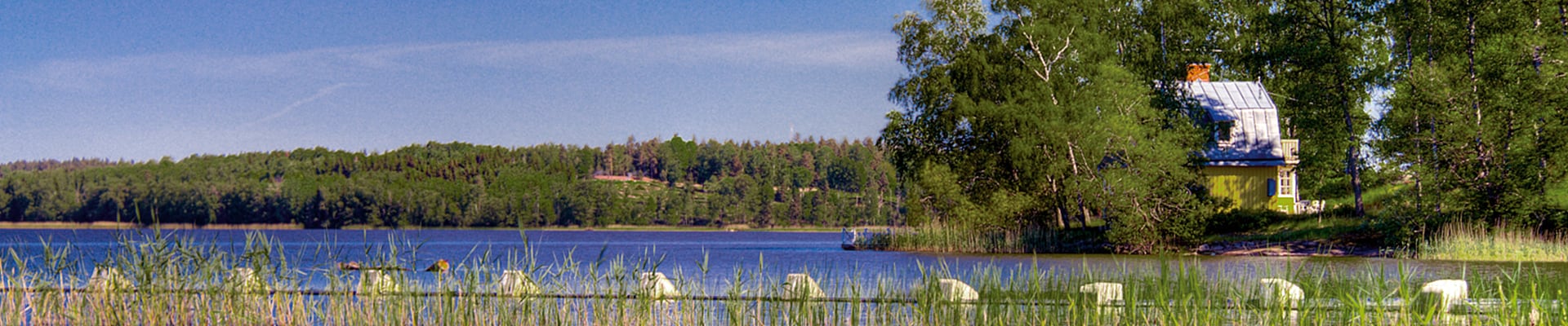 Header Image