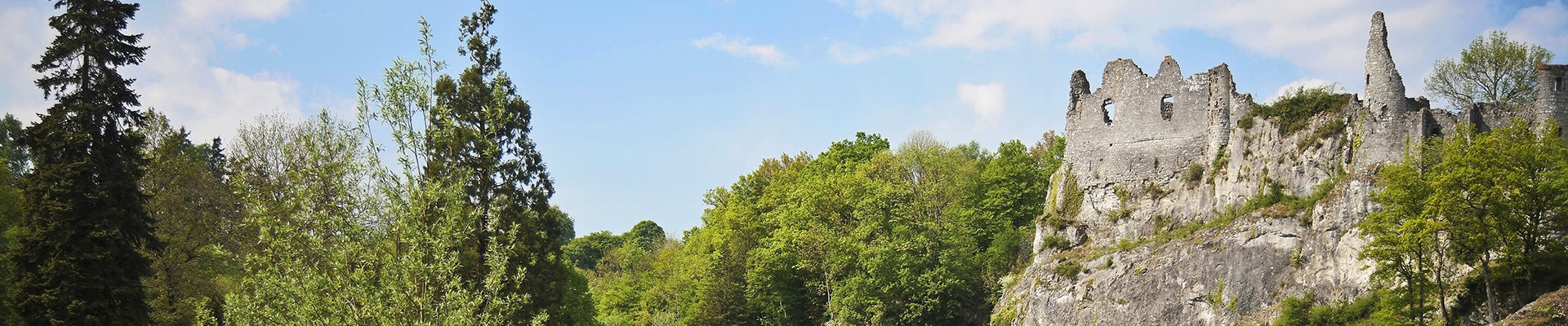 Header Image