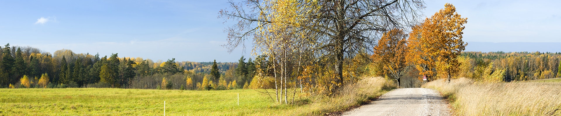 Header Image