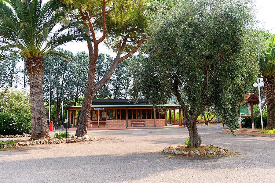 Camping Parco Degli Ulivi