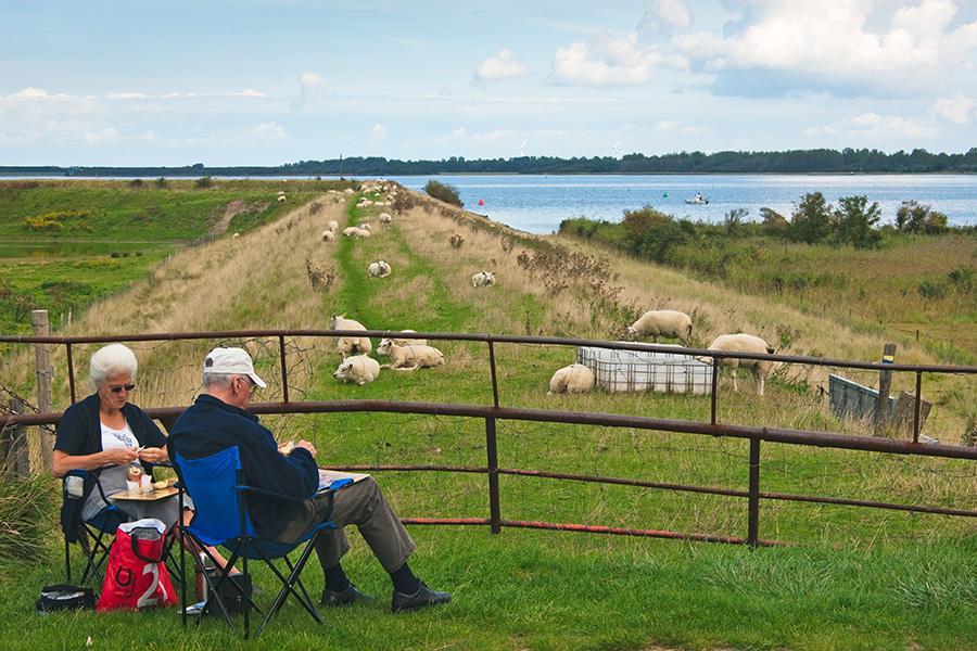 Boerderijcamping Molenperk