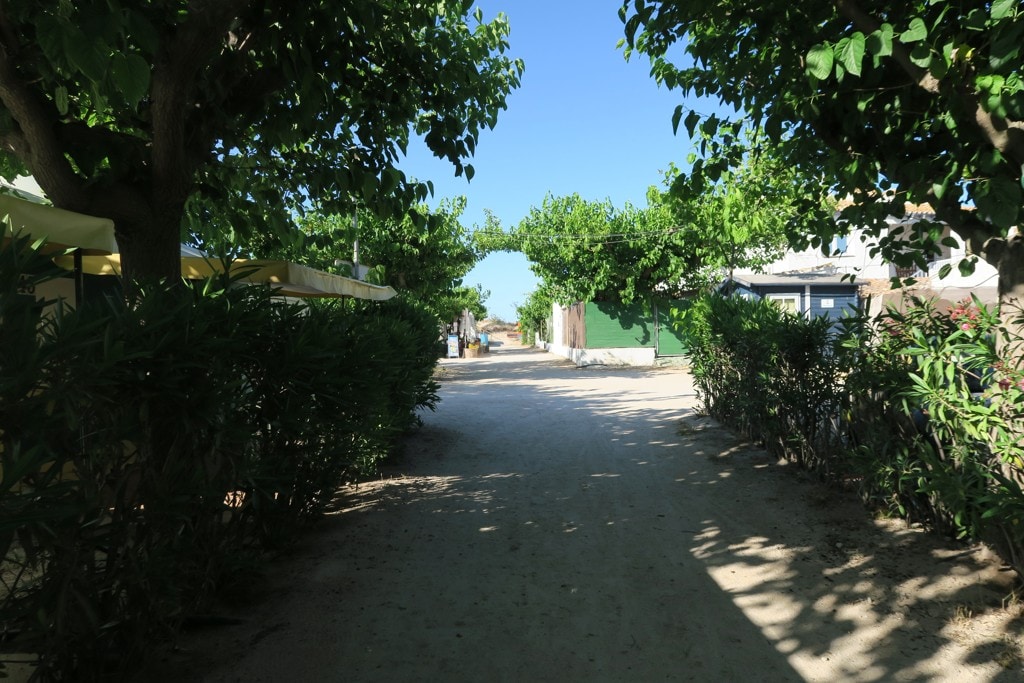 Camping Azul in Oliva | Spanien - ACSI