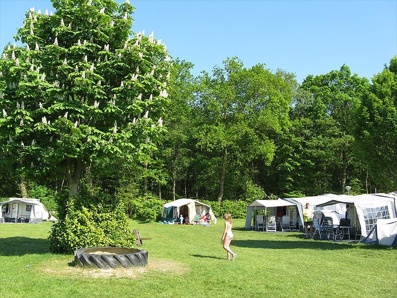Campsite De Goldberg