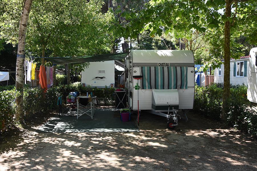 Bosco Verde Camping