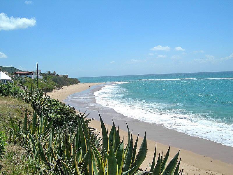 Camping Pinar San José