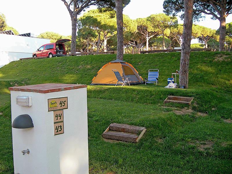 Camping Pinar San José