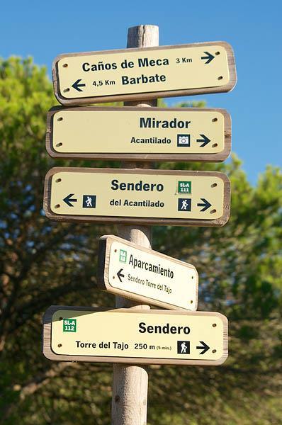 Camping Pinar San José