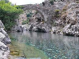 Camping e Canicce