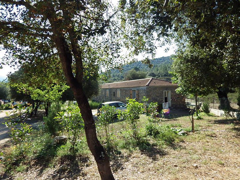 Camping e Canicce