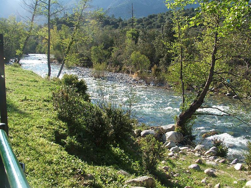 Camping e Canicce