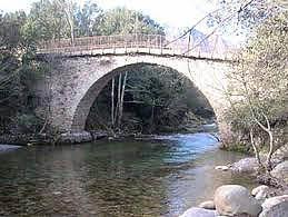 Camping e Canicce