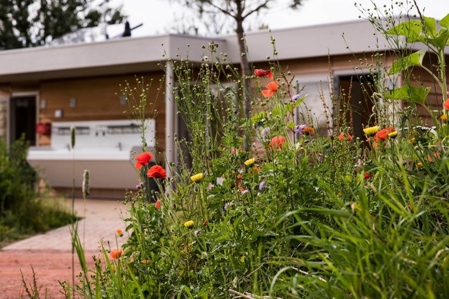 Campsite Netl de Wildste Tuin