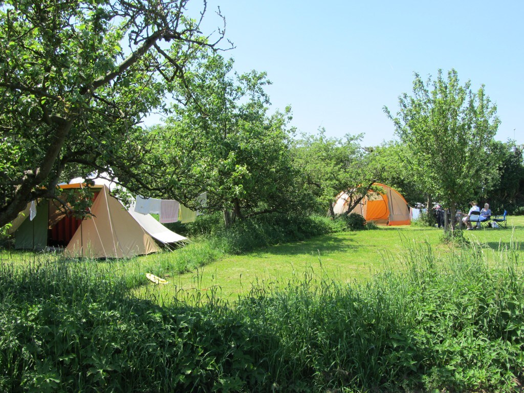 Camping In het Fruit in Zuidoostbeemster Nederland ACSI