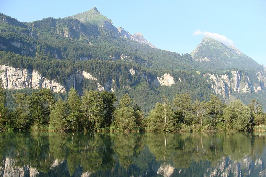Bauernhof-Camping Wyler