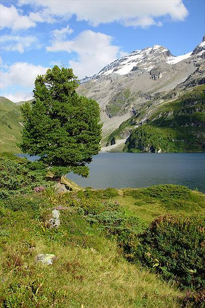 Bauernhof-Camping Wyler