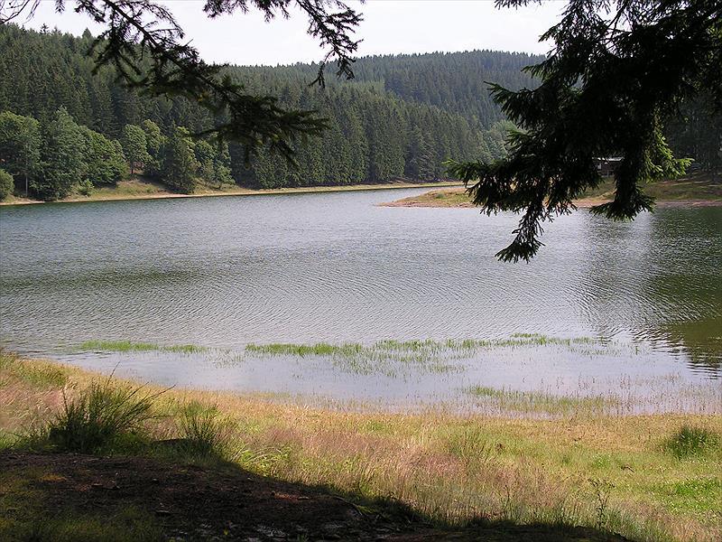Oberhof Camping