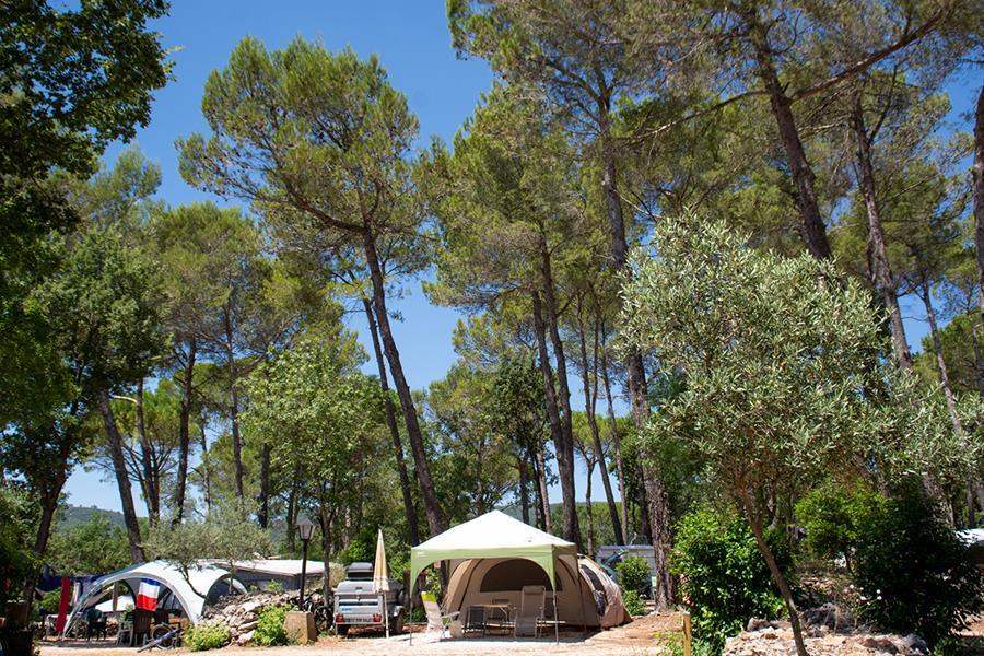 Flower Camping Le Provençal