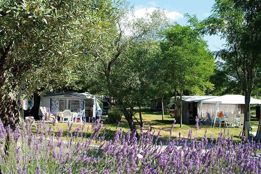 Campsite Sites & Paysages Le Petit Bois