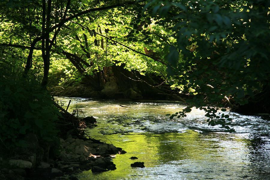 Camping Schwabenmühle