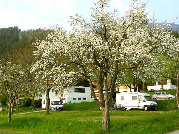 Campsite Neubauer
