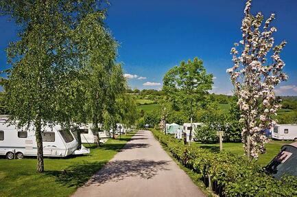 Andrewshayes Holiday Park