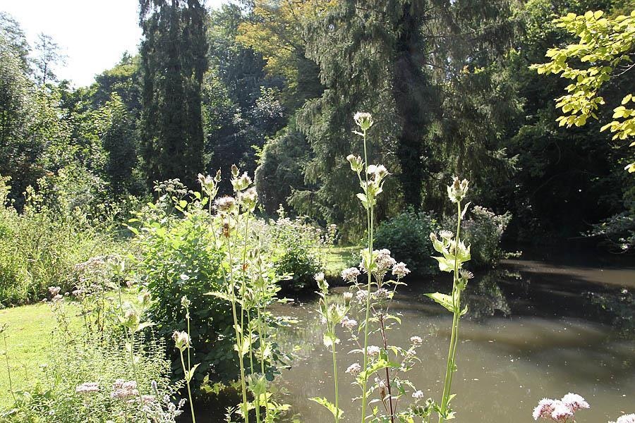 Camping Ile de Boulancourt