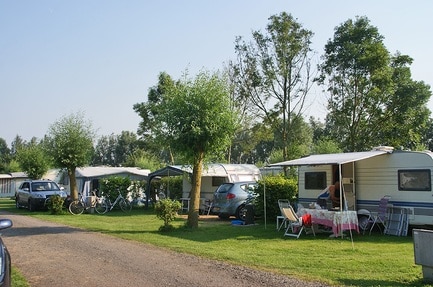 Buigen Lunch zonnebloem Camping De Meidoorn | ACSI