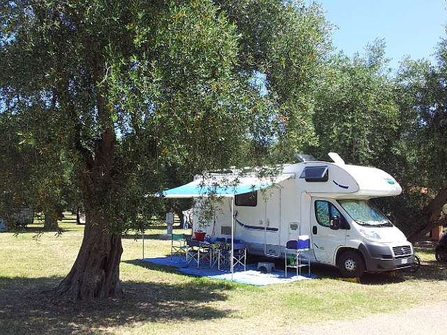 Camping Parco Degli Ulivi