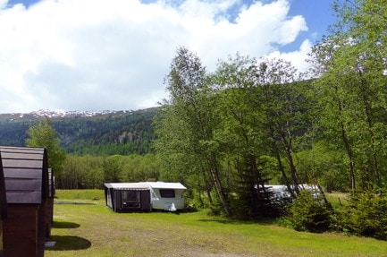 Forest Lodge &amp; Camping