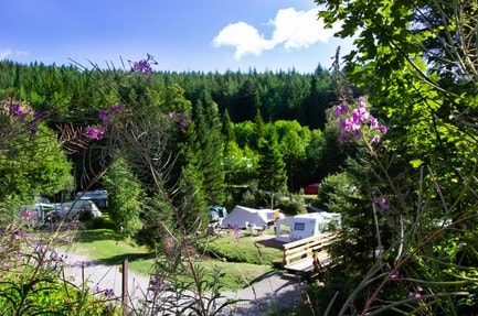Natur-Camping Langenwald